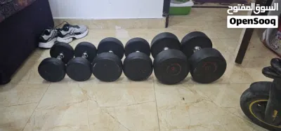 دنابل للبيع 4