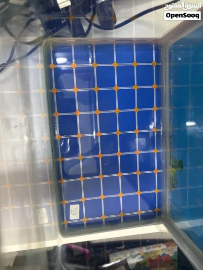 Fish tanks 4