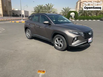 Hyundai Tucson Standard 2