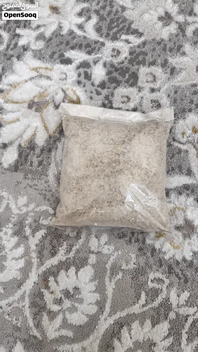 لبان الذكر ولبان الحوجري 2