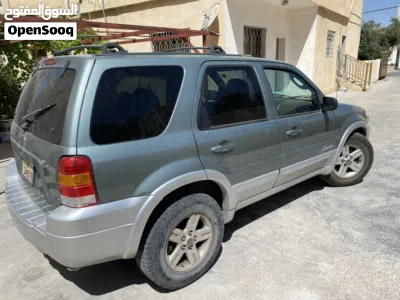 Ford Escape Standard 3