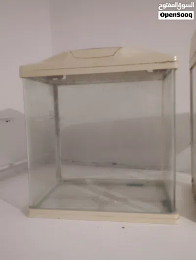2 Pic of aquarium 3