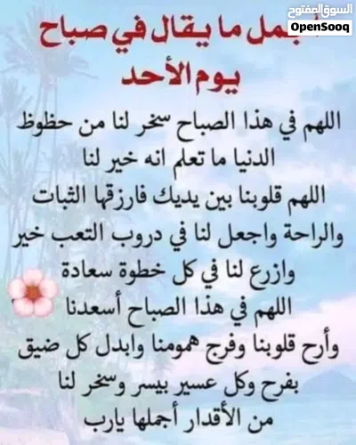 شقه ف ارض ازواوه خلف مسجد على الريسى 3
