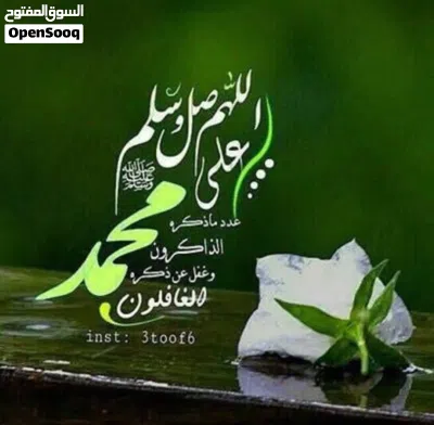 شقه للبيع في السالمية 3