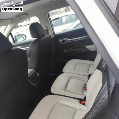 Geely Okavango GF Premium 4