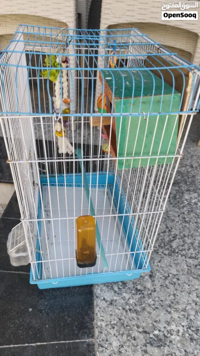 قفص للطيور 3