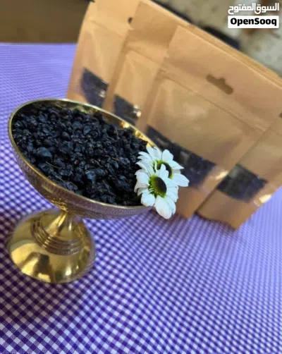 البرباريس الأسود 2