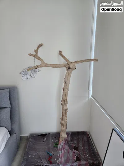 Premium Parrot Stand for Large Birds For Sale 3