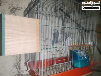undefined 3