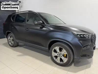 سانغ يونغ ريكستون Standard 3