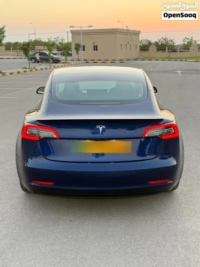 تيسلا موديل 3 Standard Plus 3