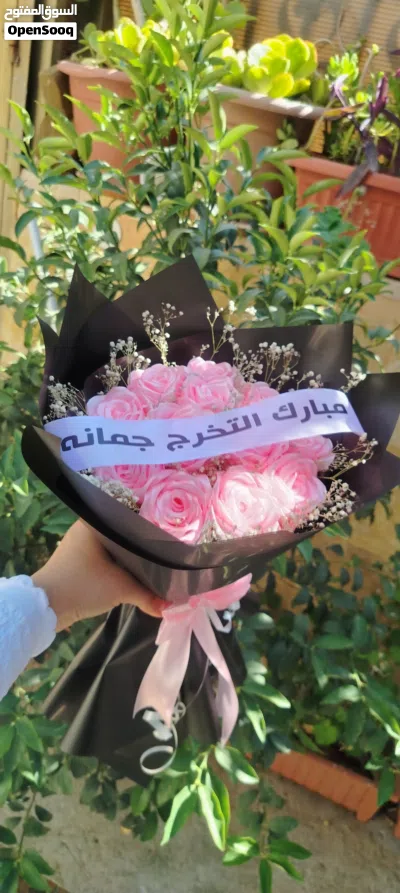 ورود ستان تحاكي الطبيعي فاخرة 4