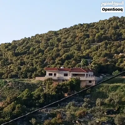 فيلا مستقلةمفروشة للايجار اليومي أو الاسبوعي مطلة على جبال عجلون قريبة من الخدمات التلفريك والخدمات 3