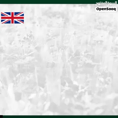 British English teacher in Sur 2