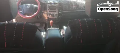 Hyundai Santa Fe Standard 4