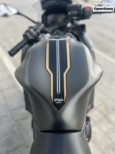 Kawasaki Ninja 650 3