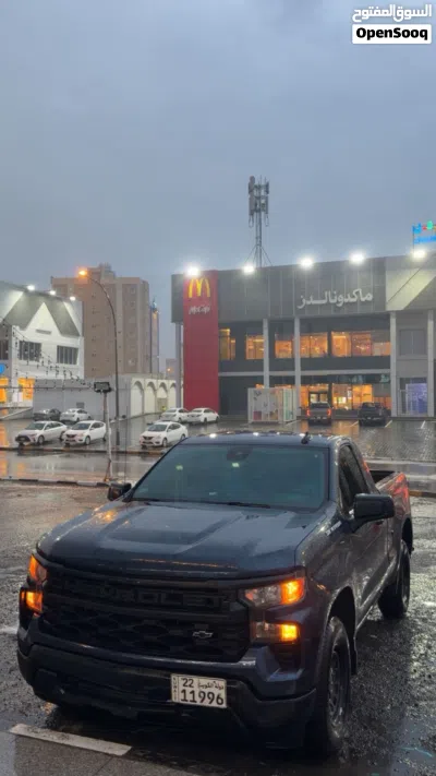 Chevrolet Silverado 1500 LS 3