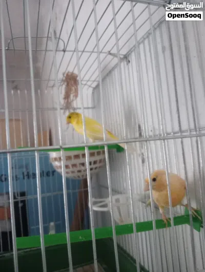 undefined 2