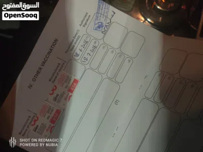 بودل تويز بيور 4