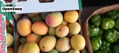 Mango Oman 6kg 3