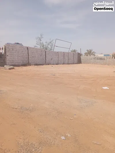 هكتار على رئيسي تاجوراء للايجار.. اقرأ الإعلان اكويس تلقى التفاصيل 3