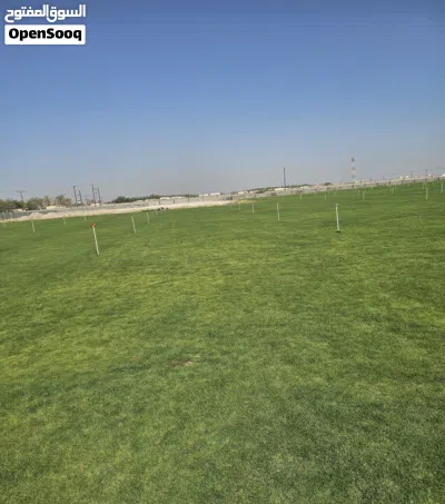 معشب طبيعي 3