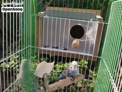 undefined 2
