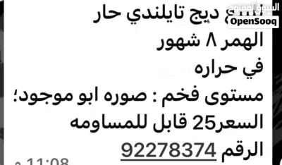 ديج تايلندي دم صافي مستوى جبار 3