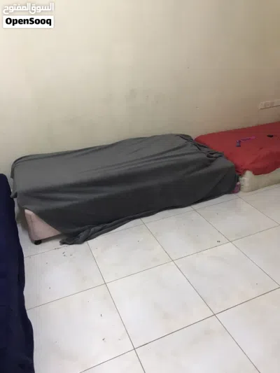 سكن مشترك للايجار 3