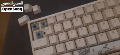 Ducky One 2 Mini Mechanical Gaming Keyboard – Compact 60% Layout, RGB Backlit, Blue Switches 2