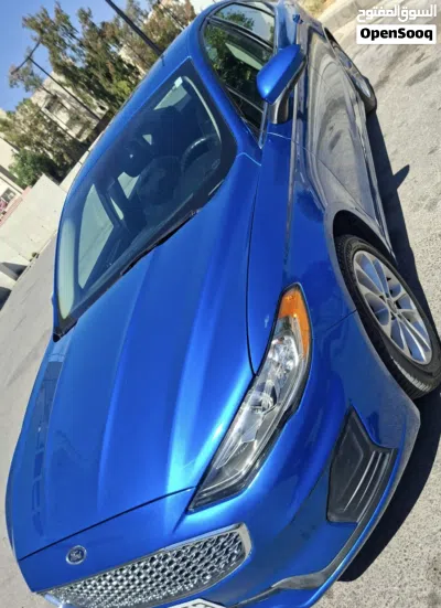 Ford Fusion SEL 2