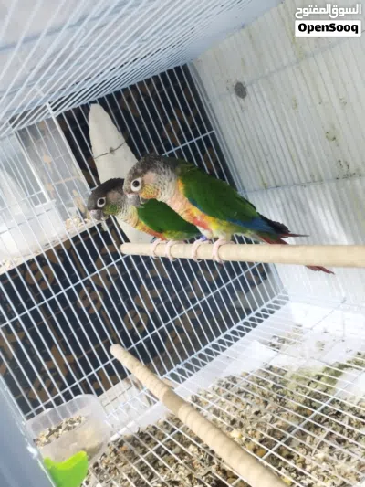 undefined 2