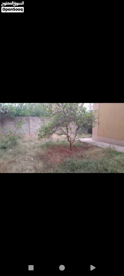فله عرطه اصبحي دور واحد بسعر 280$ بلاش شارع12 زفلت مساحه 9لبن تطلع اللبنه من15مليون 4