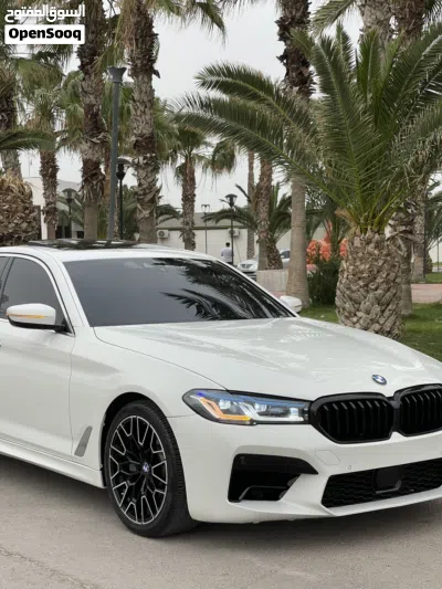 BMW 5 Series 530 4