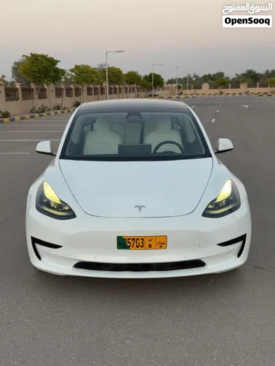 Tesla Model 3 Standard 2