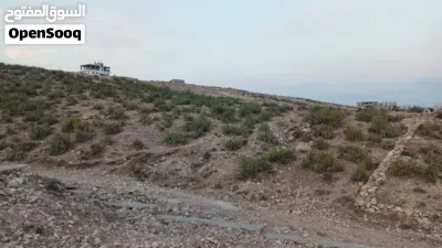 خلف الصالح مفرق ماويه القصبه 300ألف قريب الستين الجديد البيع للحاجه فقط السعر القديم من 500ألف 4