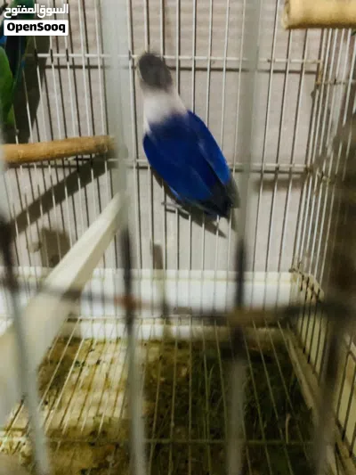 undefined 2