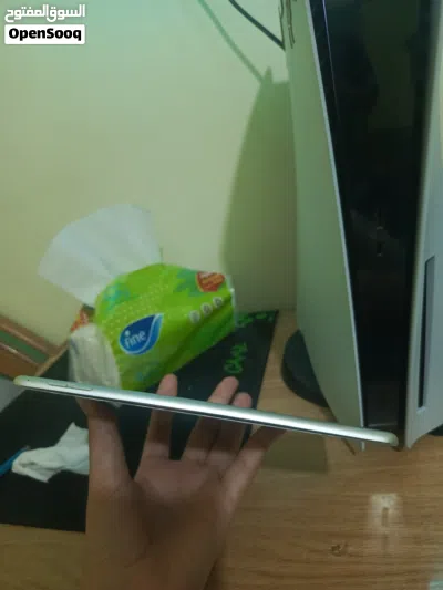 iPad mini 4 3