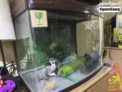 Fish tank with accessories 2