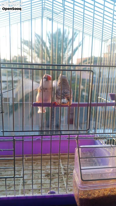 undefined 2