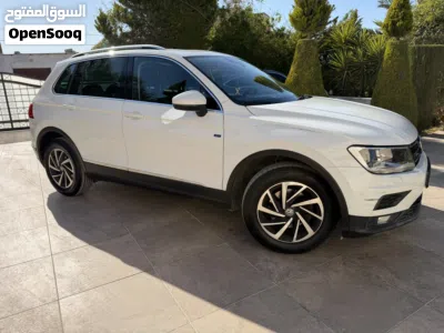 Volkswagen Tiguan Standard 4