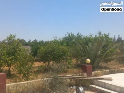 حوازه زراعية مشجره كامله 3