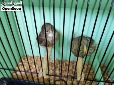 undefined 2