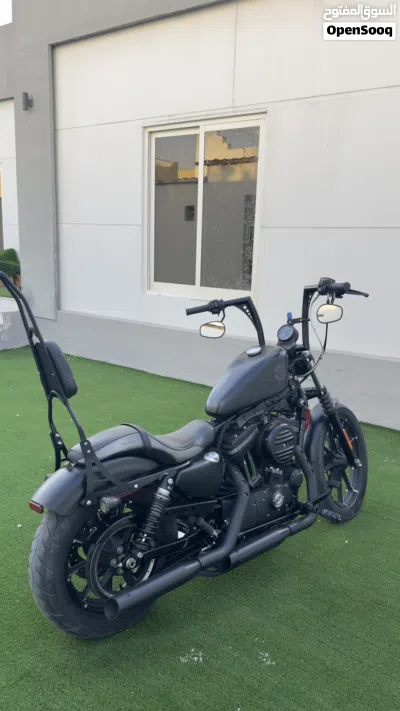 Harley Davidson Iron 883 3