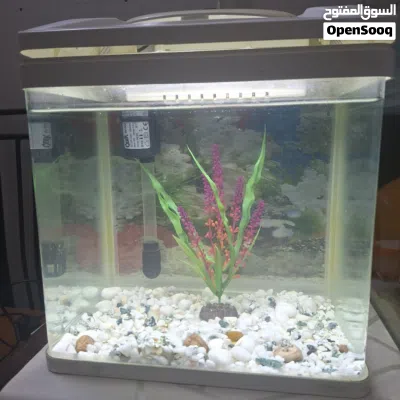 tank for sale 2