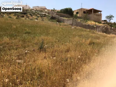 ارض - طبربور - عين رباط 4