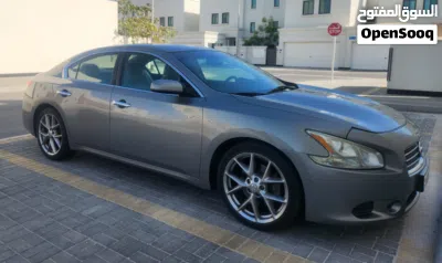 نيسان مكسيما SV 3
