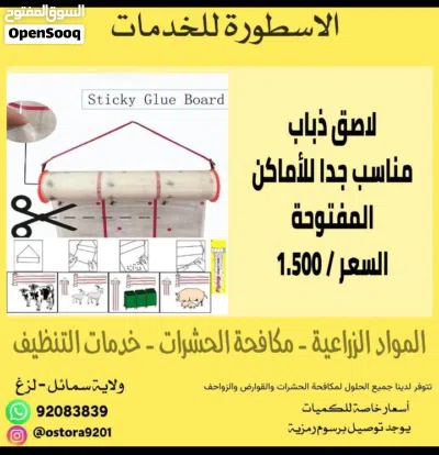 الذباب - الحشرات - البعوض - الصراصير 2
