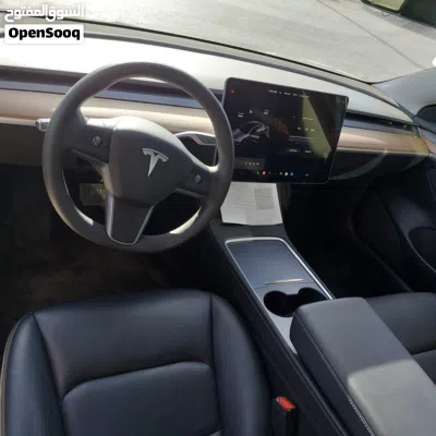 Tesla Model 3 Standard Plus 2