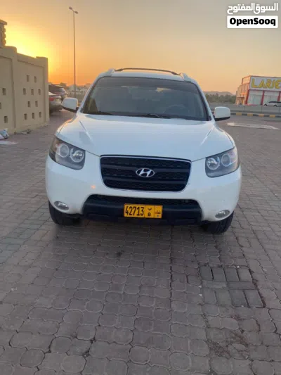 Hyundai Santa Fe Standard 2